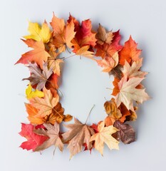 Sticker - Autumn Leaves Arranged in Circle on White Background