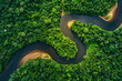 © AlfredoGiordano - horizontal aerial drone image of a tropical river flowing through a rainforest, dark water and lush vegetation