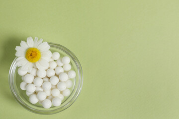 Wall Mural - Homeopathic remedy and chamomile in bowl on light green background, top view. Space for text