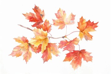 Wall Mural - autumn maple leaves watercolor illustration