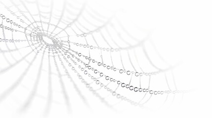 spider web with dew drops