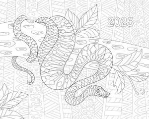 Wall Mural - coloring book page for adults and children. little snake coiled around a branch of tree against abstract geometric pattern. Happy Chinese New Year 2025