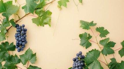 Poster - Fresh clusters of dark grapes surrounded by vibrant green leaves on a light beige background, creating a rustic and natural scene.