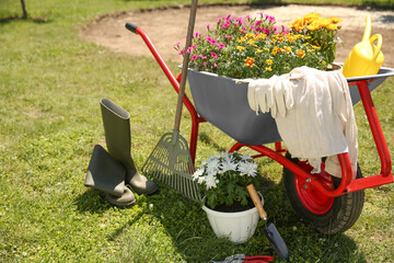 Wall Mural - Wheelbarrow with different beautiful flowers, rubber boots and gardening tools outdoors