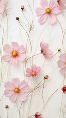 Sticker - PNG Real pressed cosmos flowers backgrounds pattern petal.