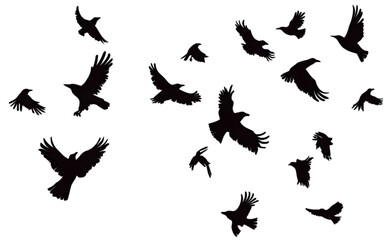  A flock of flying crows   isolated on transparent background.