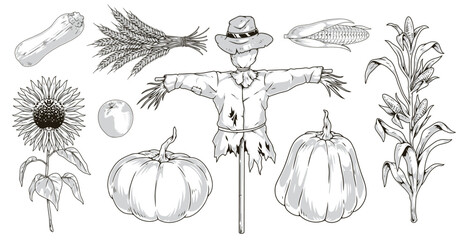 Wall Mural - Autumn harvest set emblems monochrome