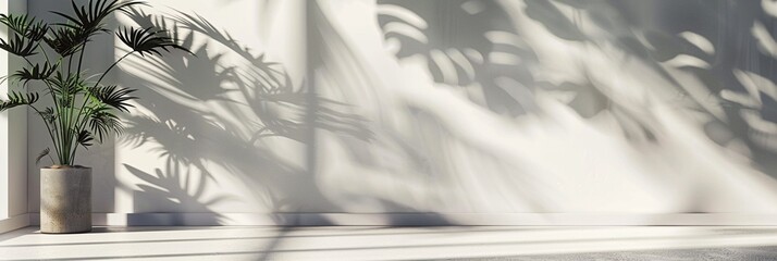 Wall Mural - Sunlight casts intricate palm leaf shadows on a pristine white wall, creating a mesmerizing interplay of light and shadow. A potted plant adds a touch of nature to the minimalist scene.