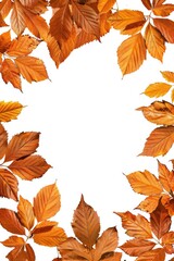 Sticker - A white background with a frame of orange leaves. The leaves are arranged in a circle and are of different sizes. Scene is warm and inviting, with the orange leaves representing the beauty of autumn