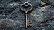 © MakoPoko - Big key placed on a dark background symbolizing unlocking potential.