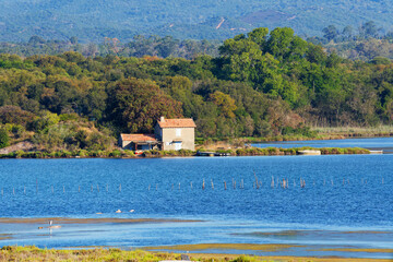 Canvas Print - Diana lake in eastern coast of Corsica