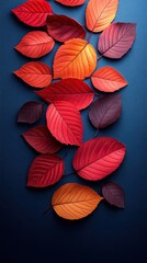 Poster - Vibrant Autumn Leaves on Deep Blue Background