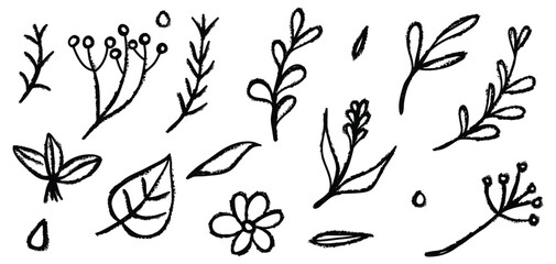 Wall Mural - Flower doodle hand drawn line stroke. Sketch hand drawn spring floral plant, nature graphic leaf, scribble grunge brush texture.Vector illustration