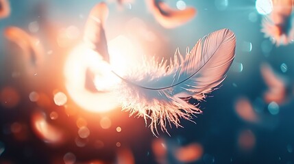 Wall Mural -   White feather floating; ball of light, blurry background