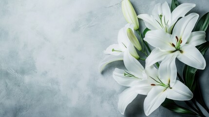 Poster - White Lilies on a Grey Background