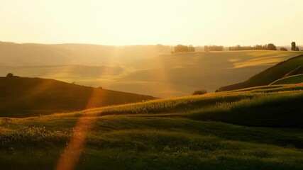 Wall Mural - A peaceful countryside scene with rolling hills bathed in the soft glow of afternoon light.