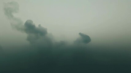 Wall Mural - shapes and shadows shift and change in the fog luring you into a dreamlike state.
