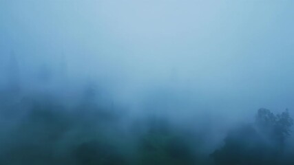 Wall Mural - the mist thickens creating a hazy and otherworldly veil around you.