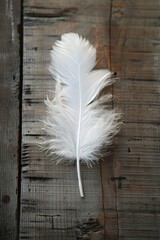 Poster - A single white feather lies flat on a wooden surface, perfect for use in designs about nature, simplicity, or minimalism