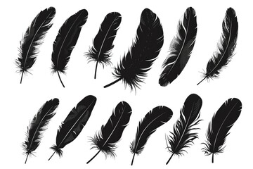 Poster - A close-up shot of a collection of black feathers against a white background, great for representing darkness or simplicity