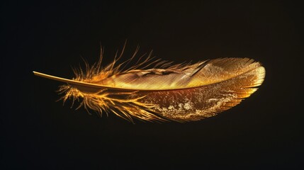 Poster - A close-up shot of a single feather on a black surface
