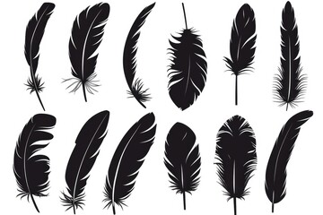 Aufkleber - A set of black feathers against a clean white background, ready for use in your design or project