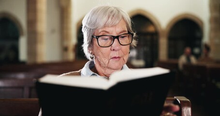 Wall Mural - Faith, prayer and old woman in church with bible, peace and spiritual connection to Christian God. Thinking, religion and elderly person in chapel with insight, worship and reading book in service