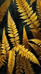 Poster - yellow fern leaves abstract background backdrop design copy space illustration art