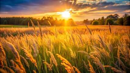 Canvas Print - Golden Hour in the Meadow  AI generated