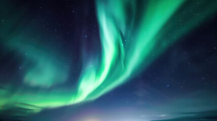 Wall Mural - A captivating display of the Northern Lights painting the night sky in vibrant green and purple hues over a star-studded horizon.