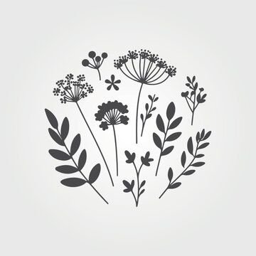 forest nature with leaves plants and flowers. Tropical doodle frame illustration for events and flyers. nature vector graphics style.