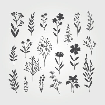 forest nature with leaves plants and flowers. Tropical doodle frame illustration for events and flyers. nature vector graphics style.