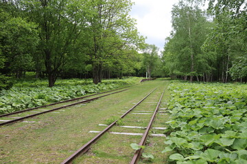 鉄道