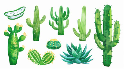 Sticker - A vibrant green cactus set featuring saguaro and aloe vera, beautifully illustrated in watercolour on a white backdrop.