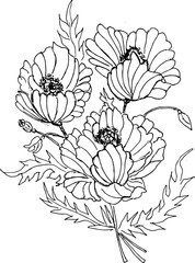 Wall Mural - Blooming branch of poppy flowers bouquet. Floral illustration, hand drawn linear doodle rough sketch. 