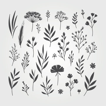 forest nature with leaves plants and flowers. Tropical doodle frame illustration for events and flyers. nature vector graphics style.