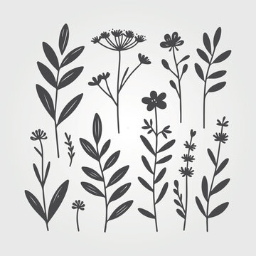 forest nature with leaves plants and flowers. Tropical doodle frame illustration for events and flyers. nature vector graphics style.