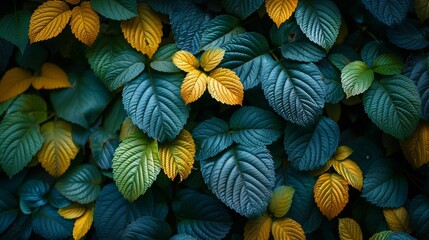 Wall Mural - colorful beautiful flowers in morning haze in nature close-up macro in black background, fresh flower gardening and beautiful floral spring in blurry landscape