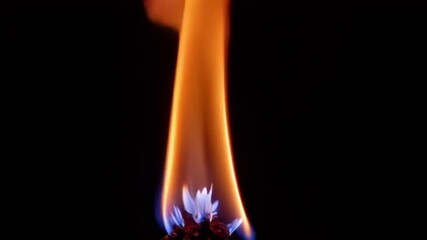 Wall Mural - a dynamic close up of vibrant flames, showcasing heat and light against a dark background, creating 