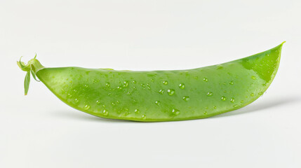 Wall Mural - A whole sugar snap pea isolated on white