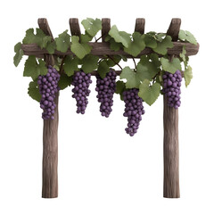Wall Mural - A grape arbor with vines on transparent background