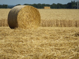 collection of straw round bale animal feed storage