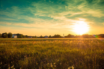 Wall Mural - rural landscape with beautiful gradient evening sky at sunset. green field and village on the horizo