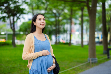 Wall Mural - Pregnant woman in the city park