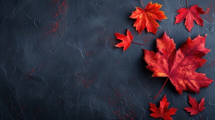 Wall Mural - Autumnal maple leaves on a dark background.