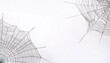 © Chase D’Animulls - Spider or cob web cobweb. scary symbol isolated on white studio background Halloween or thanksgiving Holiday season decoration copy space