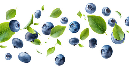 Canvas Print - blueberries with green leaves isolated on transparent white background, clipping path