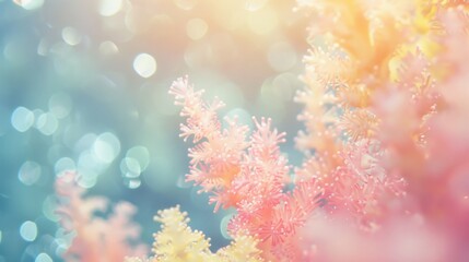 Poster - Soft coral and yellow shades blend beautifully, creating a tranquil atmosphere filled with delicate natural elements bathed in gentle light