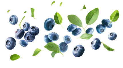 Canvas Print - blueberries with green leaves isolated on transparent white background, clipping path