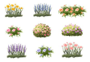 Fototapete - set of flowers and grass, Vector of tree or blooming  side view isolated on white background ,watercolor tree elevation for landscape concept,environment scene,eco design,blossom garden for spring